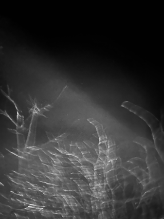 prints thumbnail