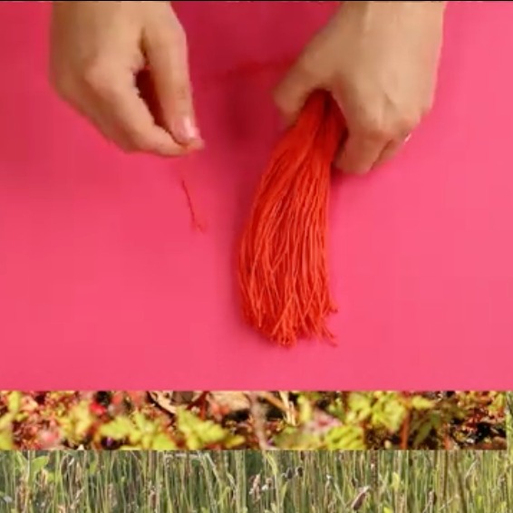 Artist films: watch WEAVE and TASSEL by Jenny Steele thumbnail