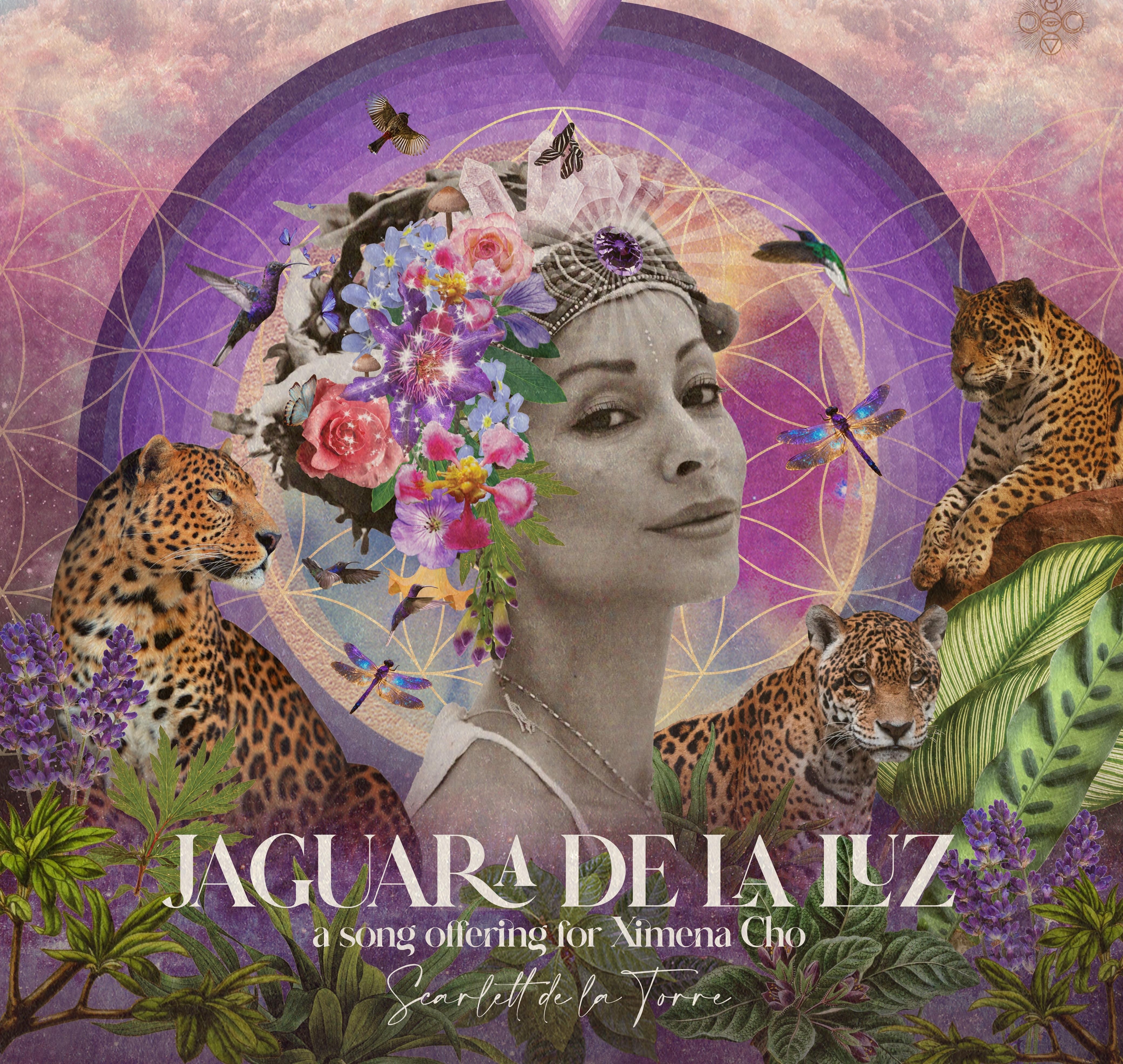 My first song release for my 11/11 album presale release date: Jaguara de la Luz thumbnail