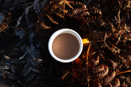 Sign up to receive my newsletter thumbnail