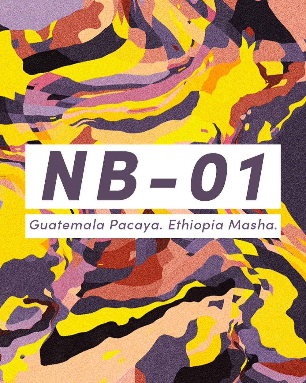 And… we are live! Introducing our first drop, NB-01. A blend of Guatemala Pacaya and Ethiopia Masha, roasted to a Medium