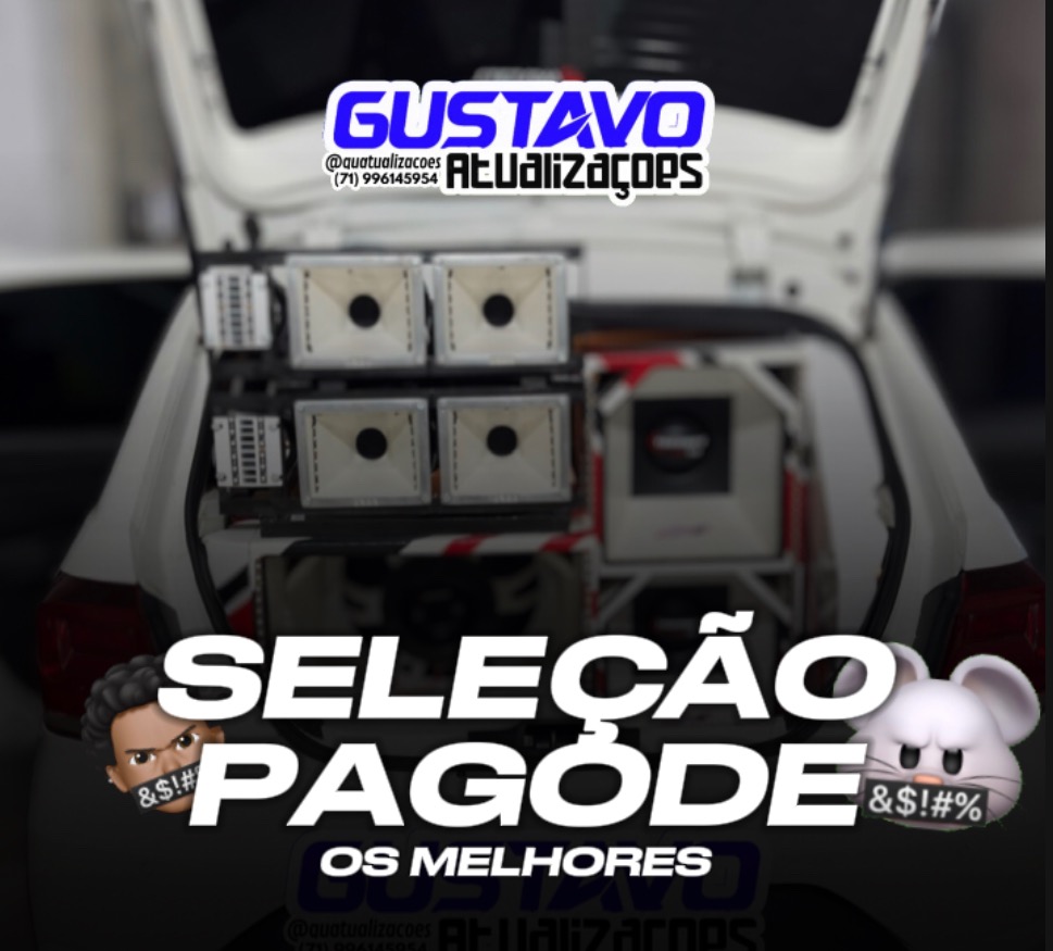 SELEÇÃO PAGODE - OS MELHORES  thumbnail