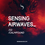sensing airwaves vol 3 feat. calmpound thumbnail