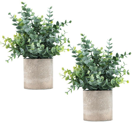 Eucalyptus Potted Artificial Plants: Amazon.ca thumbnail