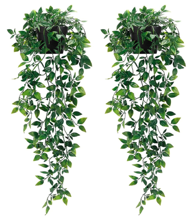 Artificial Hanging Potted Plants: Amazon.ca thumbnail