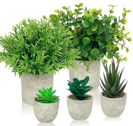 Artificial Plants for Decor: Amazon.ca thumbnail