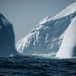 Securing Antarctica’s Environmental Future thumbnail