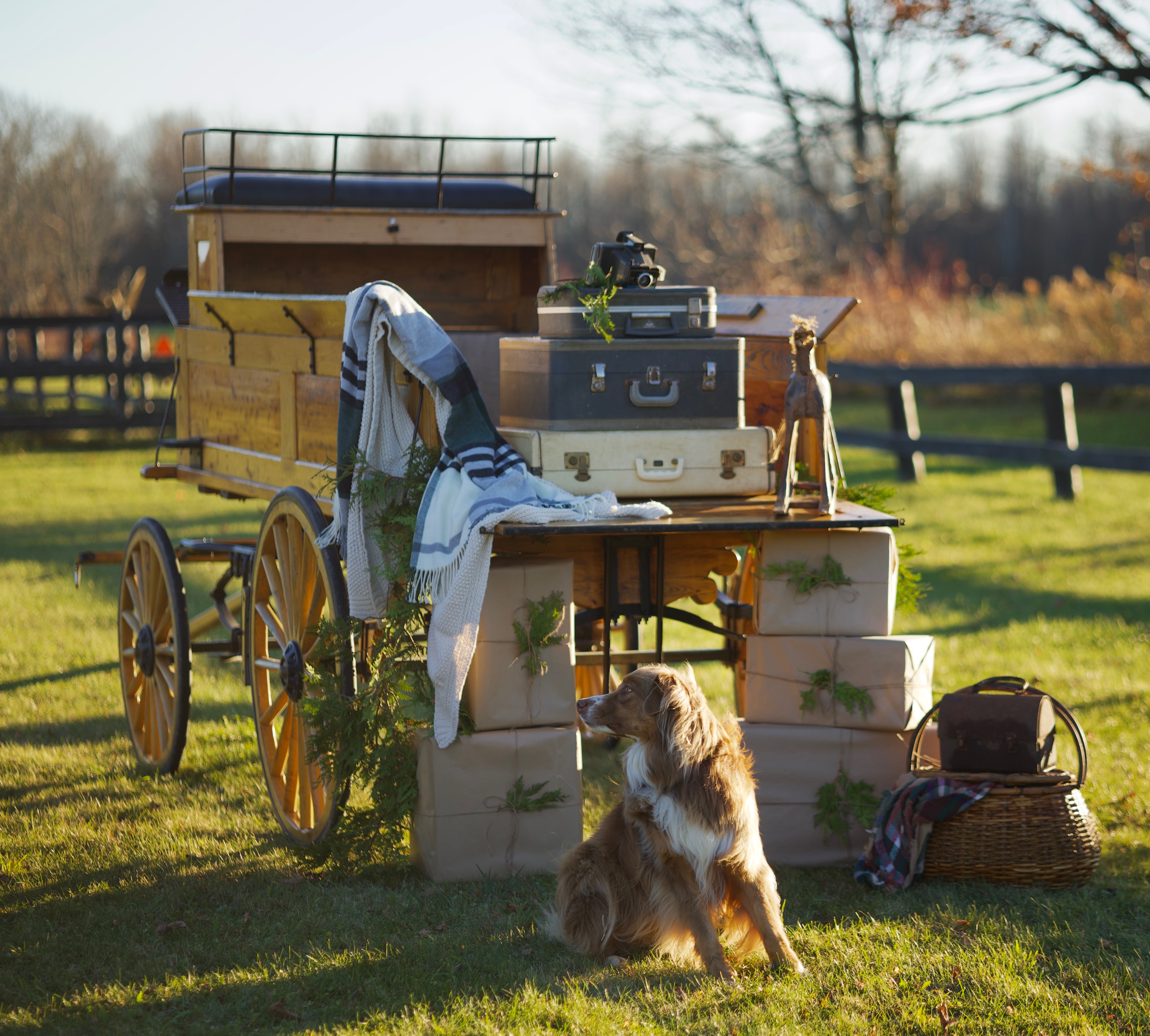 Holiday Minis x Valley Ridge Family Farm thumbnail