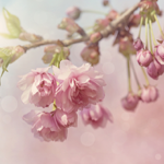 Spiritual Journey thumbnail