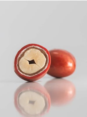 From roasted peanuts to our colorful and glossy M&M’s Style Milk Chocolates covered Peanuts. We source our peanuts from 