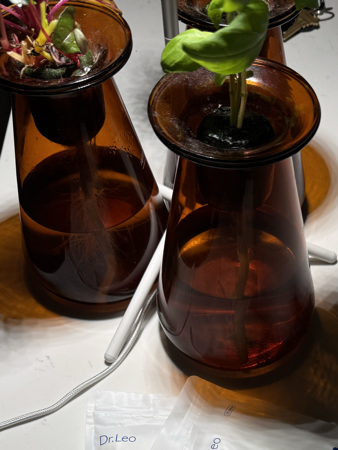 NEW! | Counterstand thumbnail