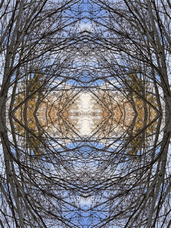 Sacred Investment | Yellow Petal Photo - Yellow Petal Photo thumbnail