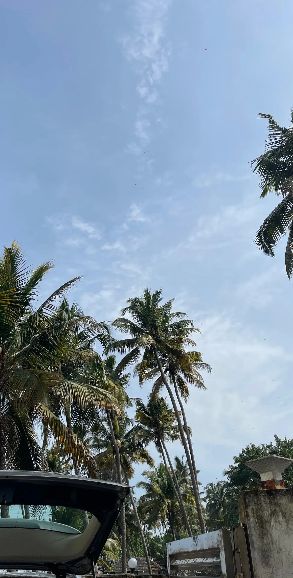 Hi India 👋🏻 #india #kochi #Anamudi #bangaluru  #bestasiathailandtravel 