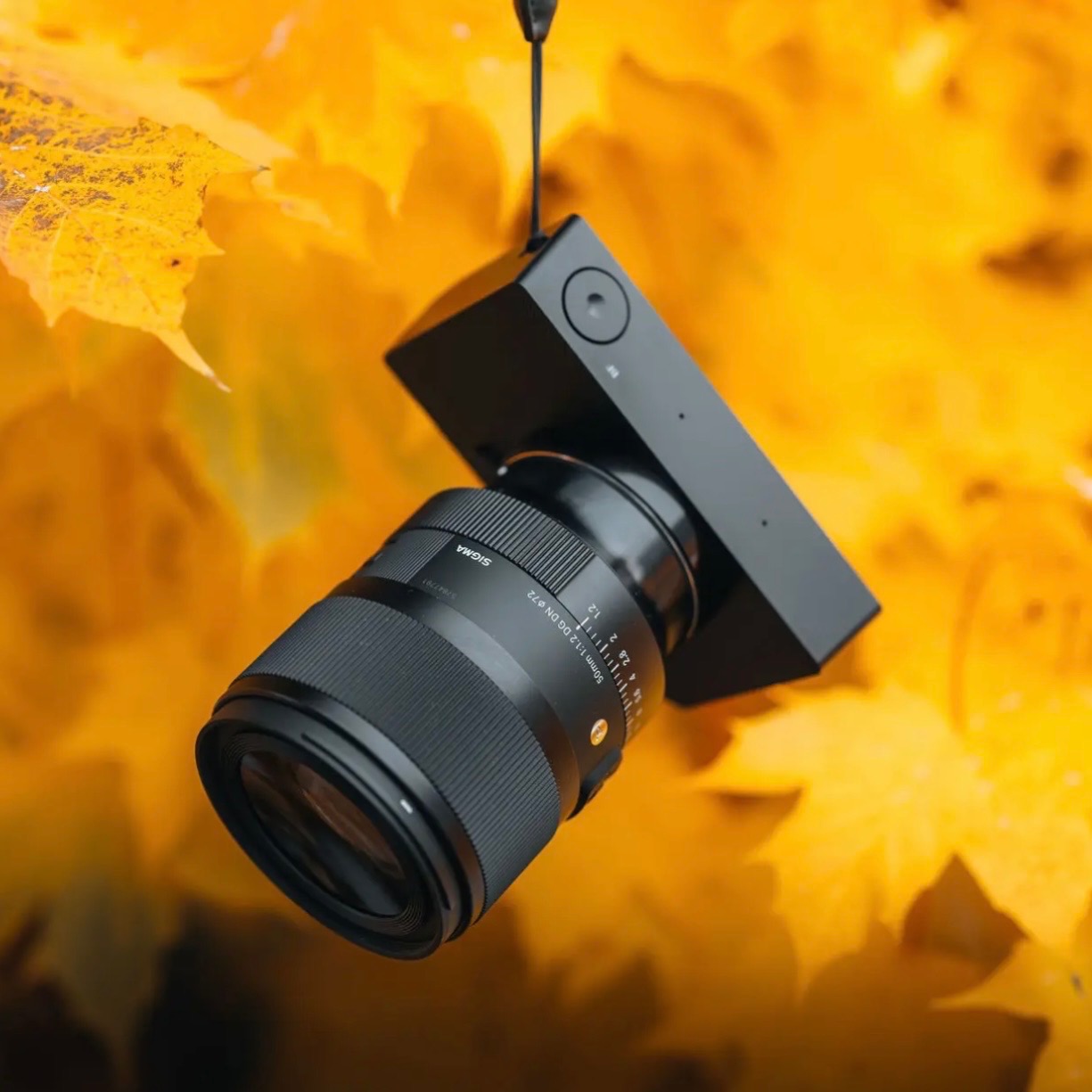 24 Hours with the Sigma 50mm f/1.2 thumbnail