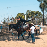 Cavall Equinoterapia thumbnail