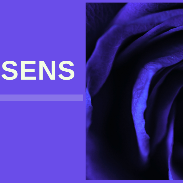 Contribue à 1€/mois à Projet SENS thumbnail