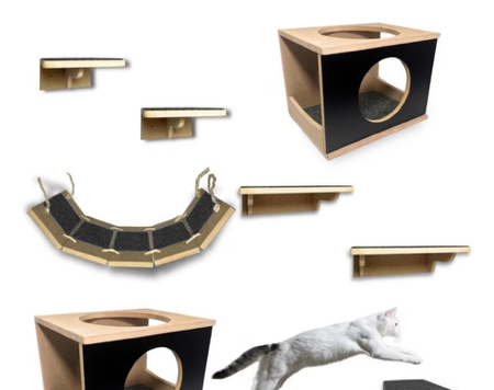 Playground Gatos thumbnail