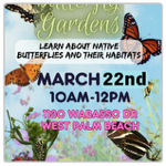 Learn About Native Butterflies | March 22 | 10AM thumbnail