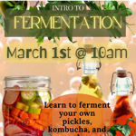 Intro To Fermentation | March 1st  10AM thumbnail