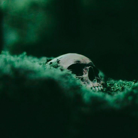 Tumblr thumbnail