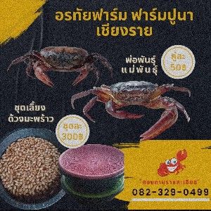 สินค้าจากฟาร์ม thumbnail