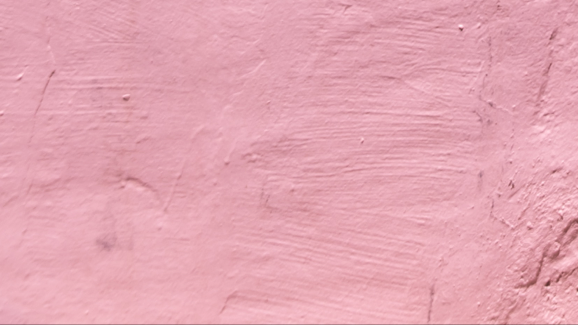 BioSite banner for @kali