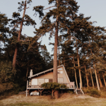 The Next A-Frame? These Cabins Can Be Built in a Week thumbnail