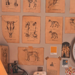 Anatomy posters thumbnail