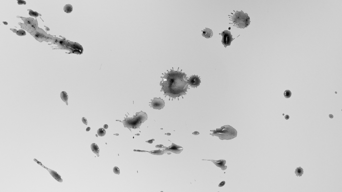 BioSite banner for @tribe