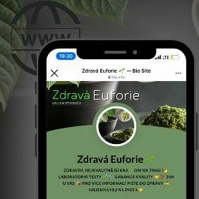 Zdravá Euforie Official Web thumbnail