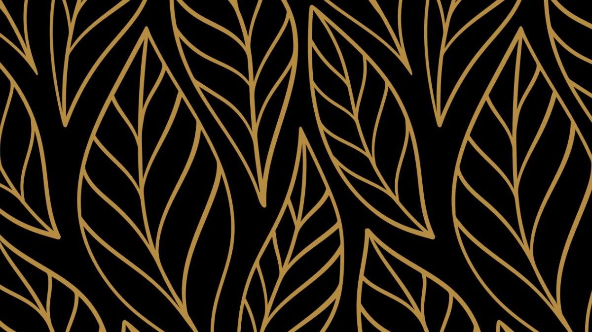 BioSite banner for @Baxter
