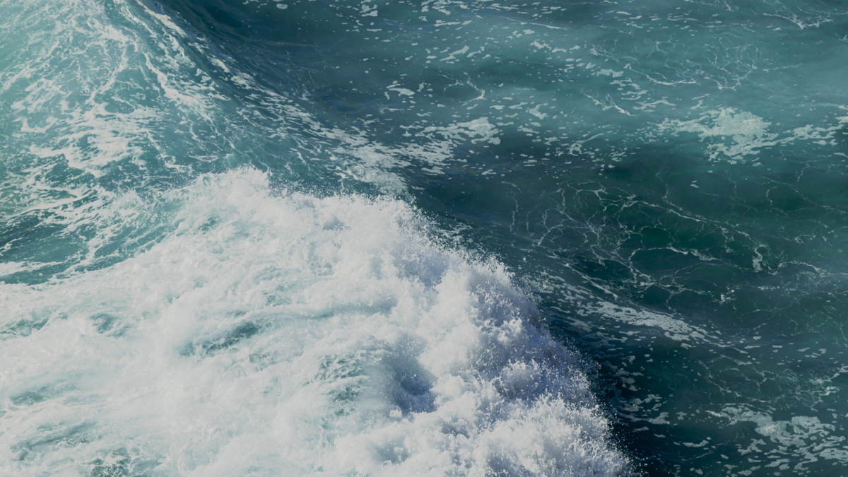 BioSite banner for @q