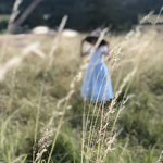 Ōde Coffee Table Book thumbnail