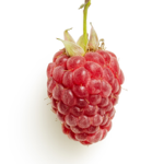 Business Questionnaire thumbnail