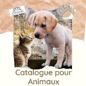 catalogue animaux thumbnail