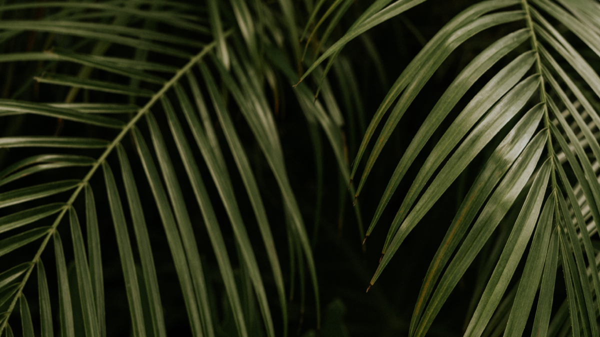BioSite banner for @cr