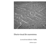 Diario visual de Cuarentena.  Letralia thumbnail