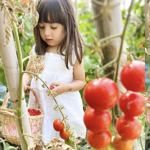 CONSULENZA EDUCATIVA thumbnail