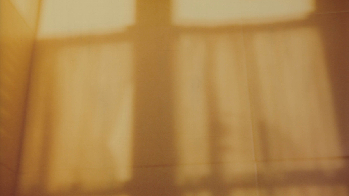 BioSite banner for @emilia