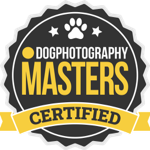 Online Master Courses thumbnail