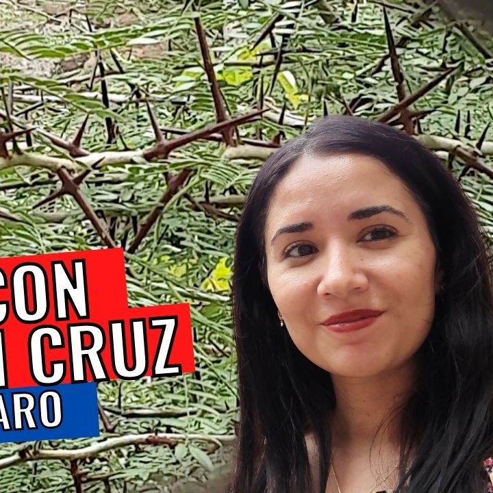 El extraño árbol mexicano que da espinas en forma de cruz 😱✝️ Santiago de Querétaro • Alhelí thumbnail