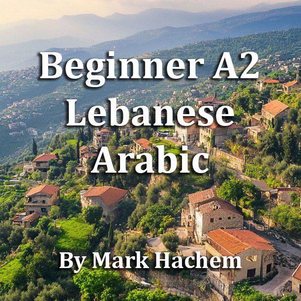 Get your copy of our Beginner A2 🇱🇧Lebanese Arabic Workbook thumbnail