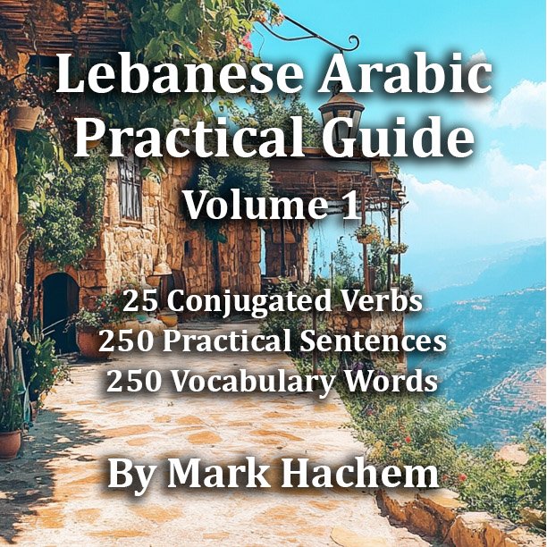 25 Verbs, 250 sentences, 250 words. Get my 🇱🇧Lebanese Arabic practical guide & boost your speaking skills 🚀 thumbnail