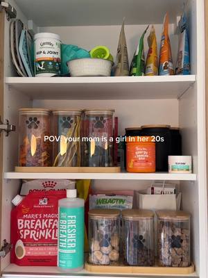 I guess you could say I'm spoiled.. 🤭 #minidachshund #dachshund #minidoxie #dachshundoftheday #puppyoftheday #puppy #min