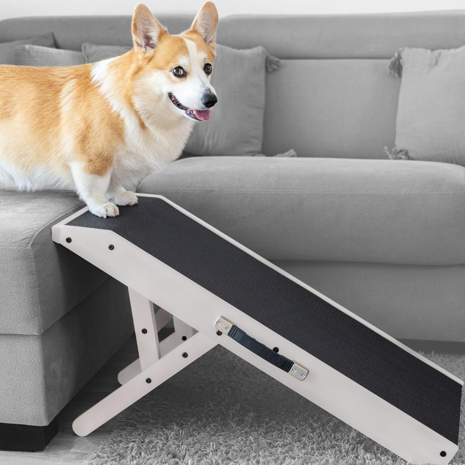 Our Favorite Adjustable Ramp 🐾 thumbnail