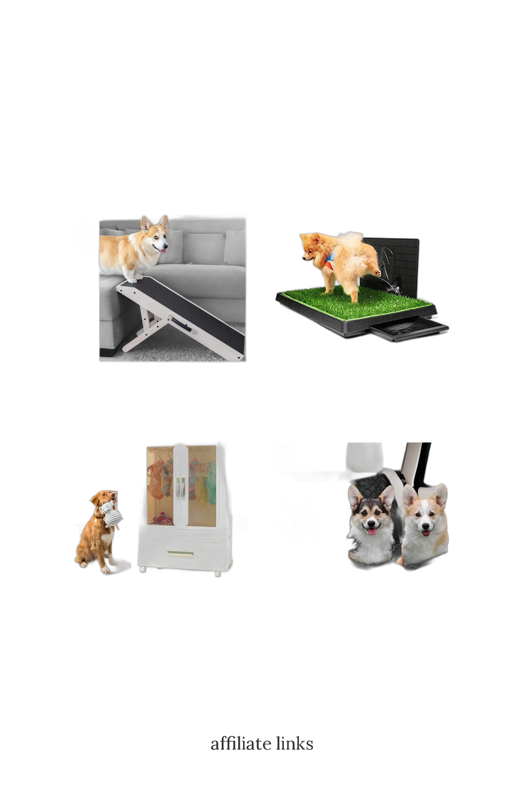 Our Favorite Purchases ⭐️ thumbnail