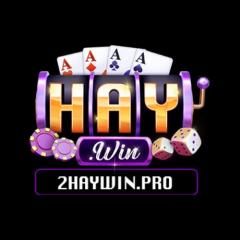 2haywinpro thumbnail