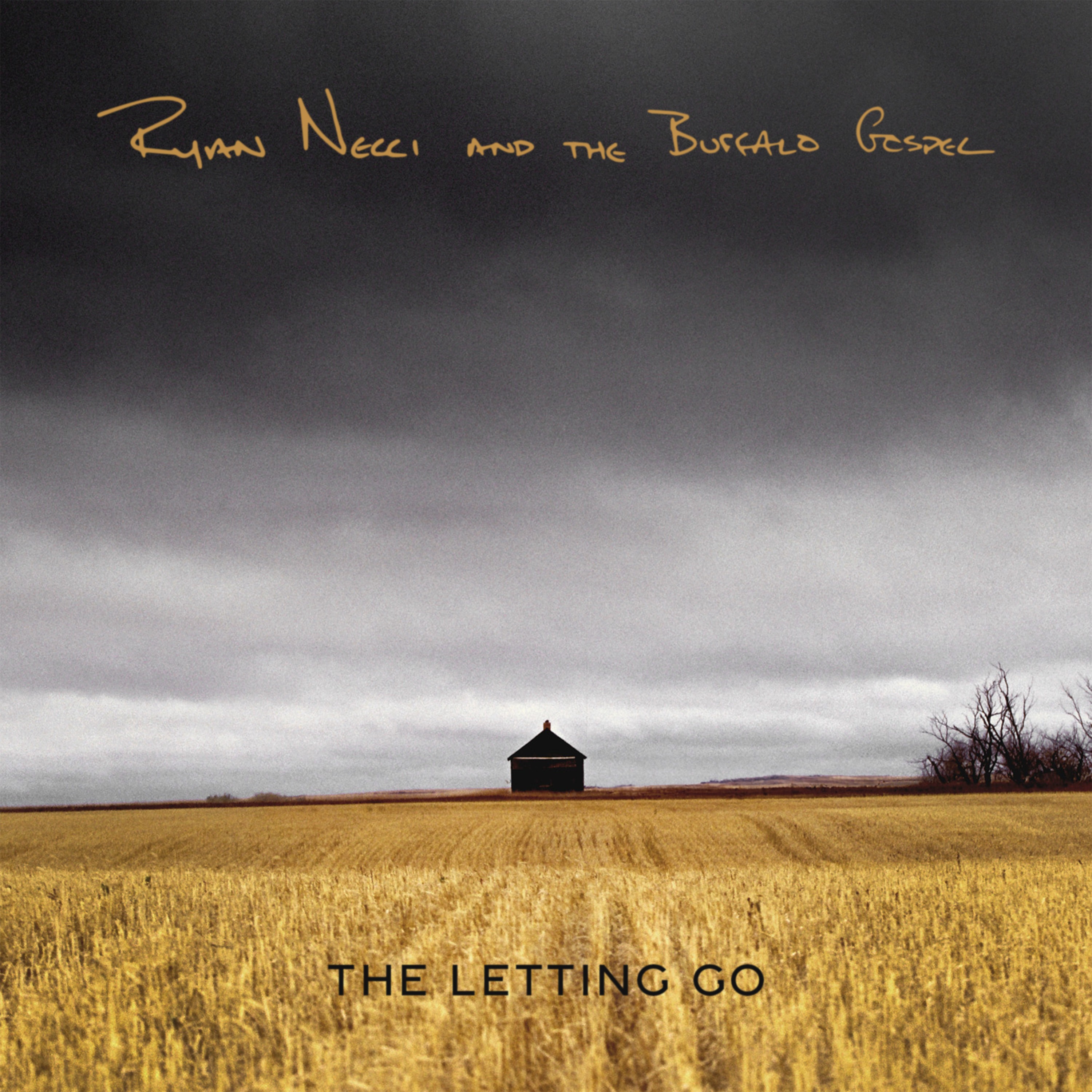 Stream 'The Letting Go' thumbnail
