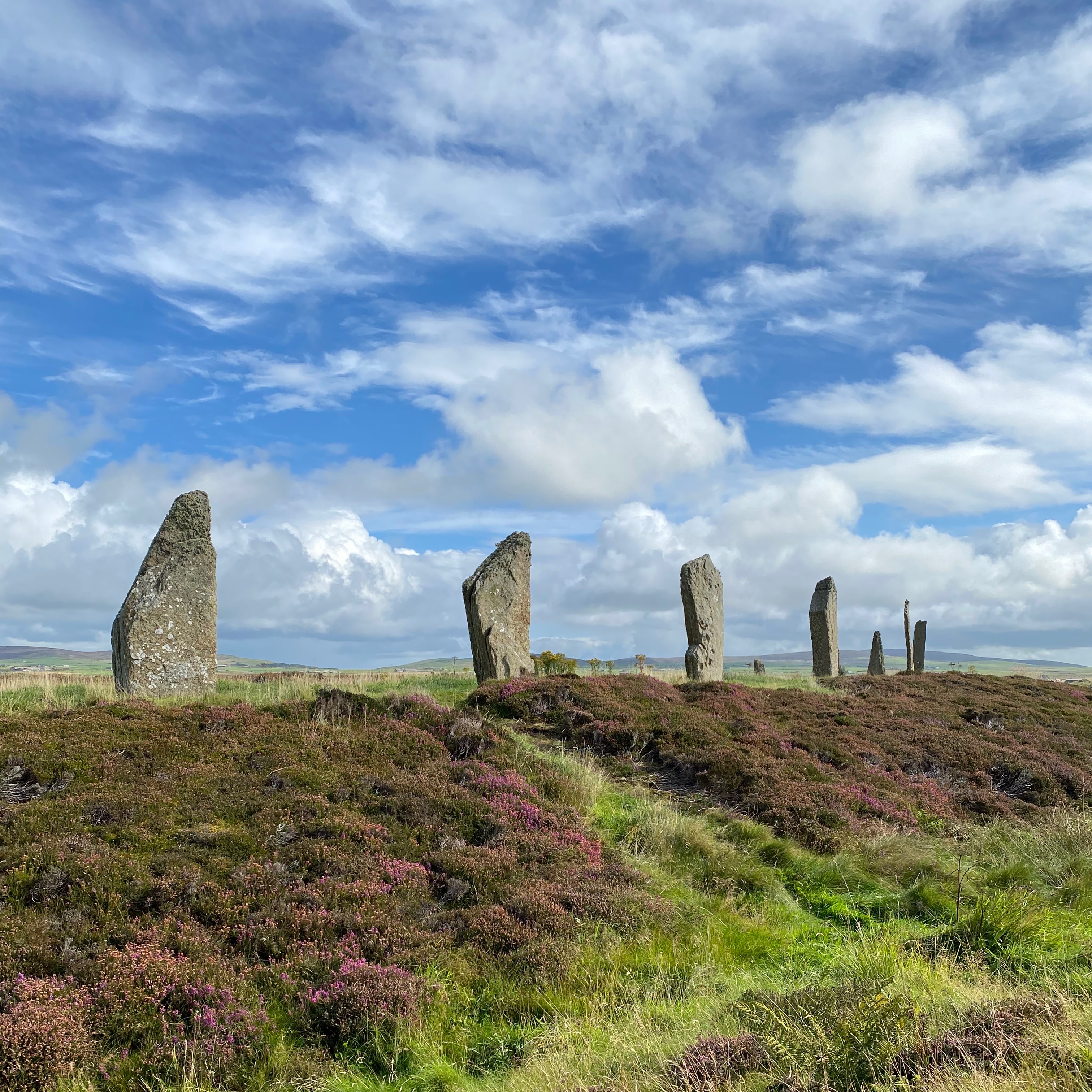 Stone Circle Tattoo Request Form thumbnail