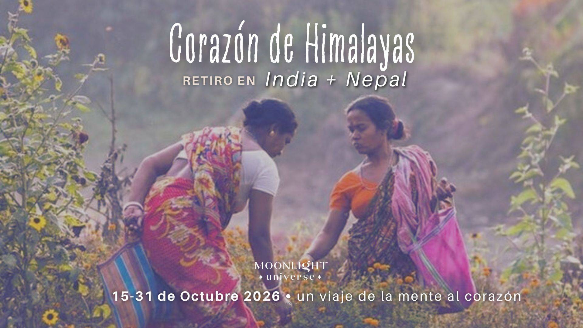 Próx retiro: Corazón de Himalayas India & Nepal Octubre thumbnail